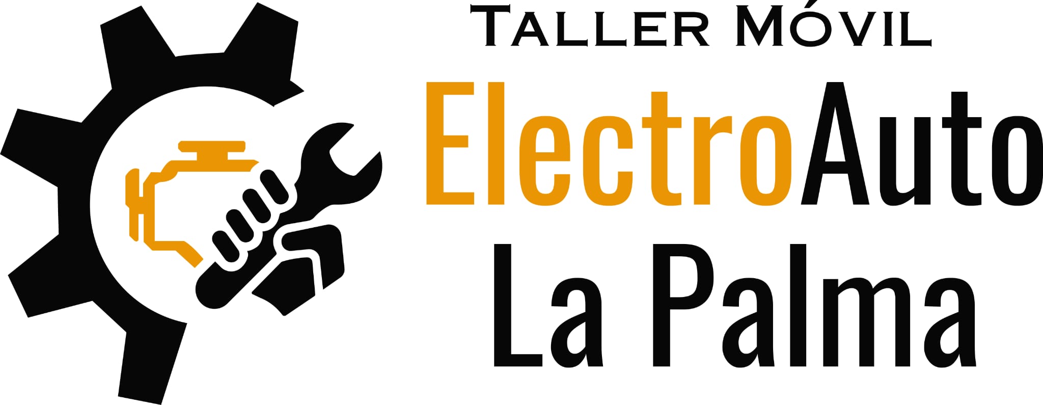 Electro Auto La Palma 